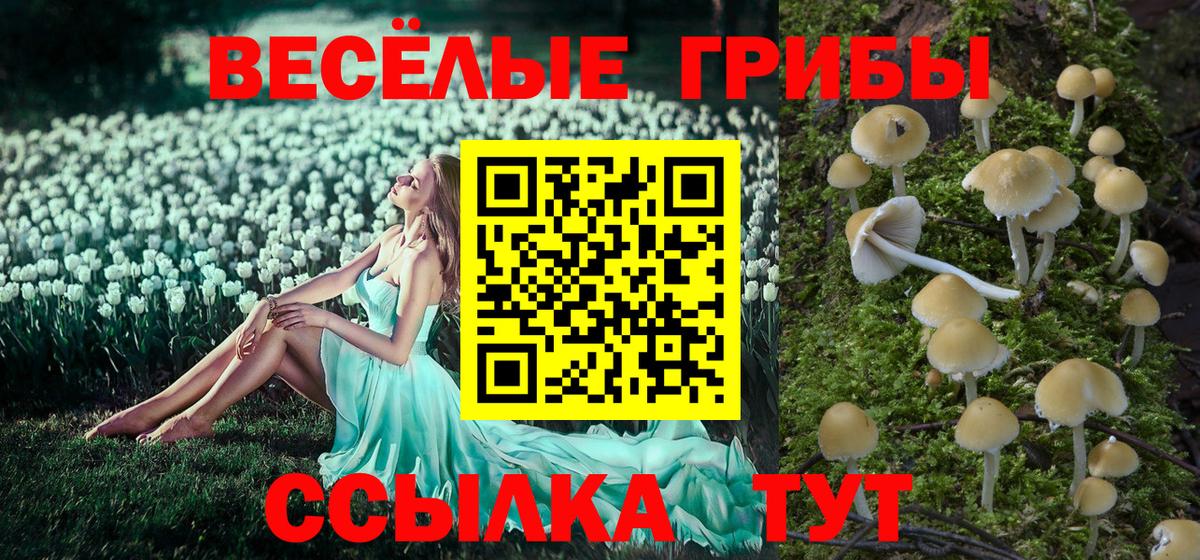 Алапаевск  Галлюциногенные грибы GOLDEN TEACHER  Вход с VPN 